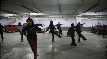 大爷大妈爆料视频大全集,生活百态尽收眼底